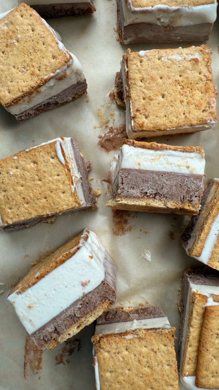Frozen S’mores Ice Cream Sandwiches