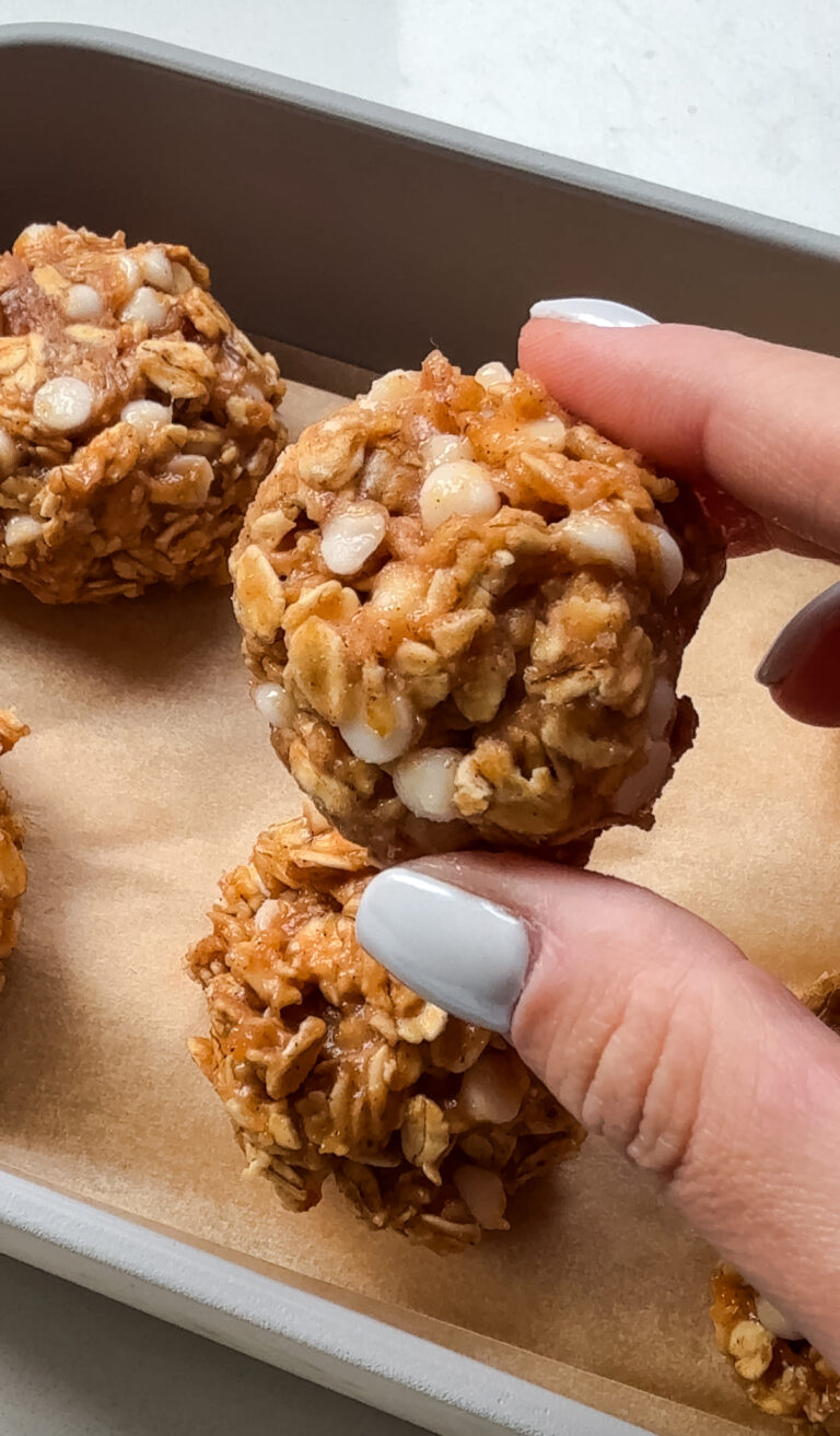 Oatmeal Cream Pie Protein Bites (No Bake, High Protein Snack)