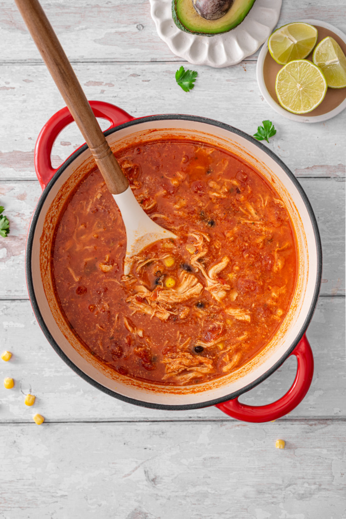 Chicken Enchilada Soup