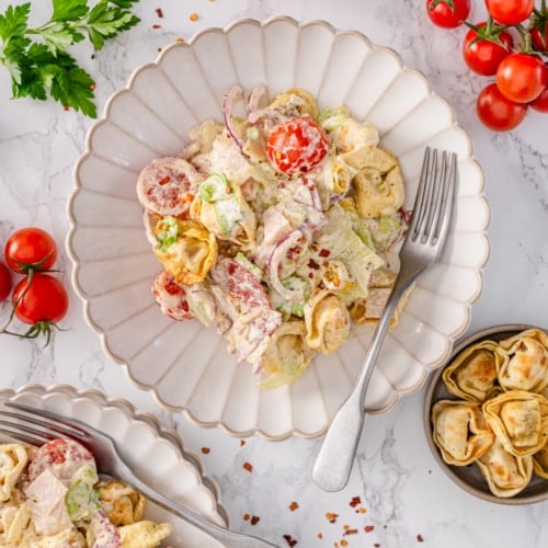 Grinder Pasta Salad with Crispy Air Fryer Tortellini
