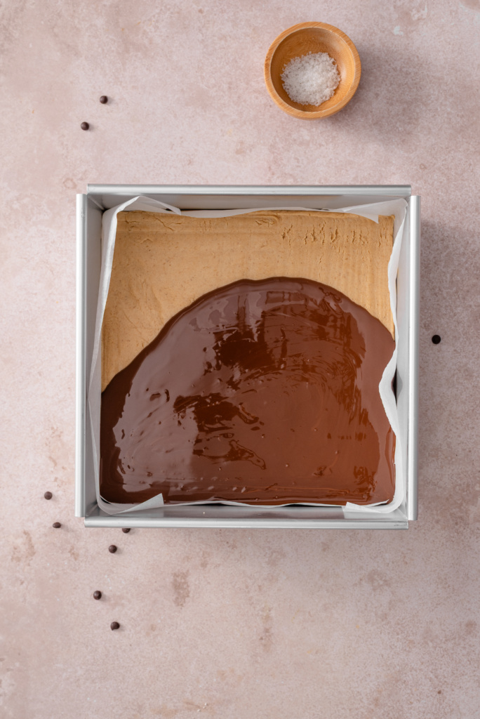 Peanut Butter Cup Protein Bars